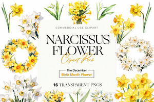 Narcissus Birth Month Flower Clipart