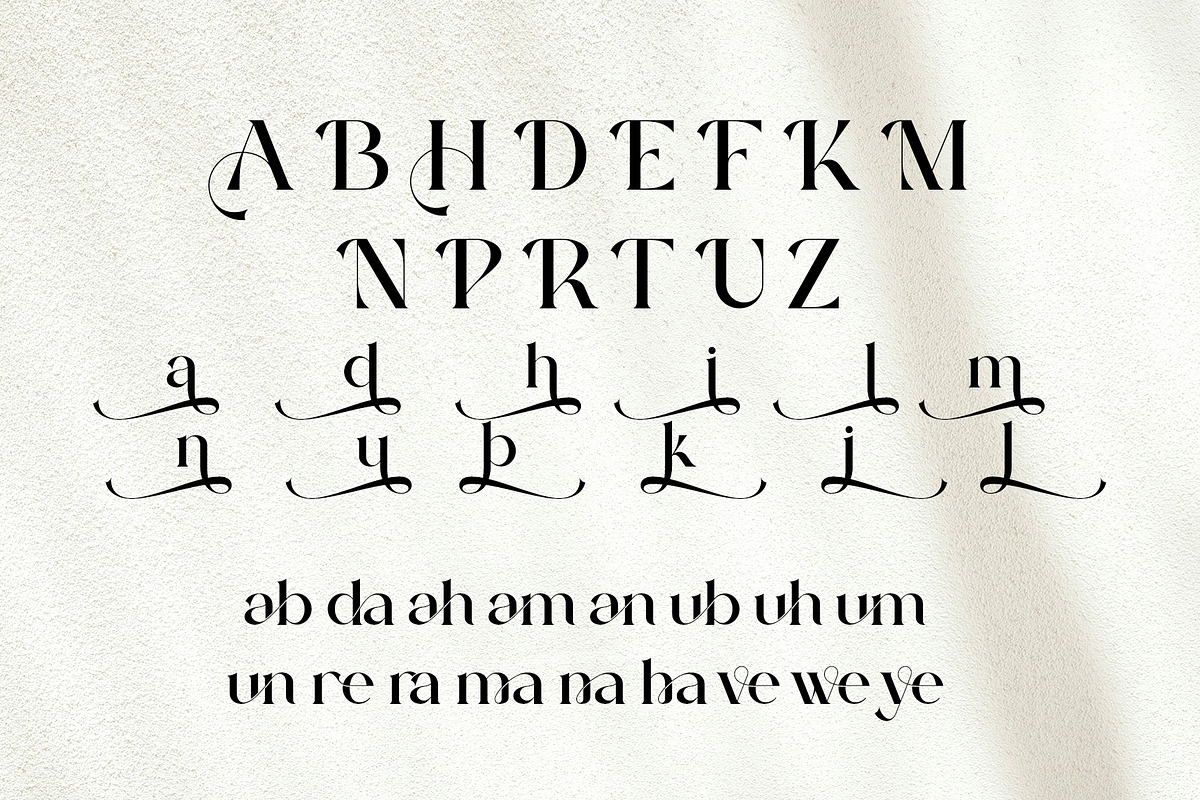 Ranima - Modern Ligature Typface, a Serif Font by AnnofaType (Photo 7 of 8)