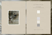 Pastel Paper Textures & Frames, a Texture Graphic by alonahaidash (Thumbnail 17 of 21)