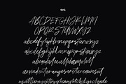 Triester SVG Brush Font Free Sans, a Script Font by Maulana Creative (Thumbnail 8 of 11)