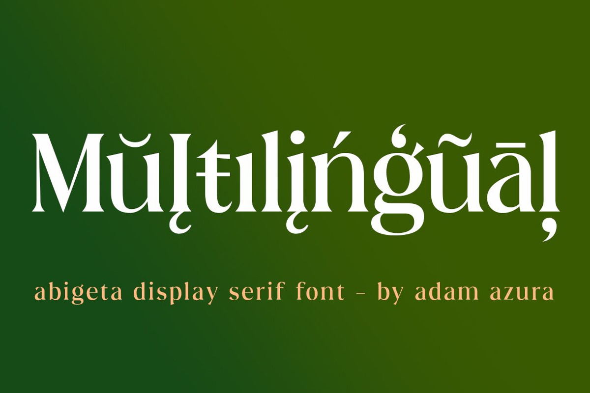Abigeta 50% Discount, a Serif Font by Adam Azura (Photo 6 of 14)