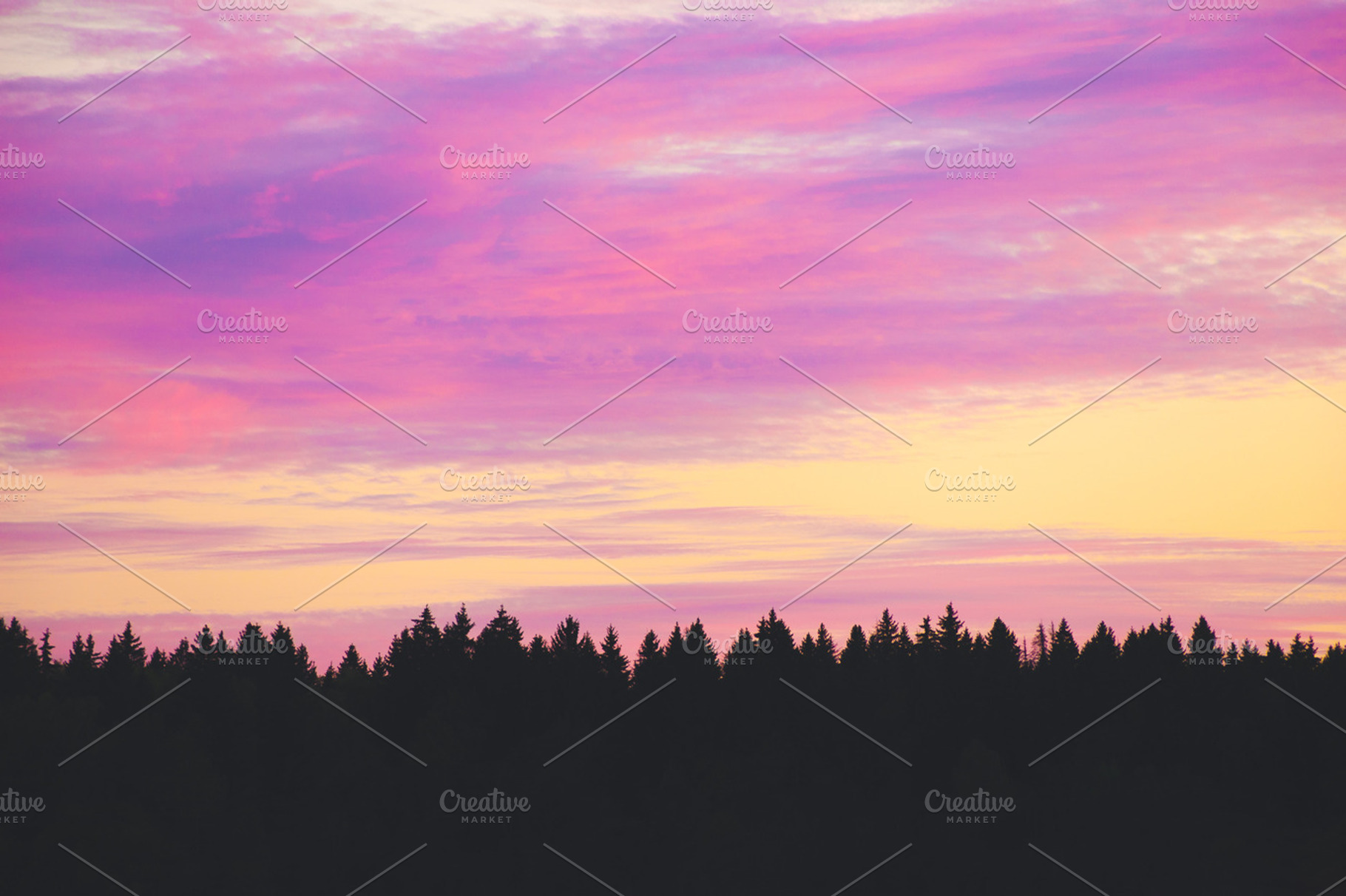 Silhouette of a Forest at Sunset, a Background Photo by uncle-rico