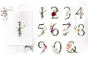 Bronte | Botanical set | 280+ images, an Illustration by Karma (Thumbnail 20 of 39)