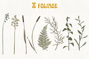 Retro field flowers & sunflowers, a Decorative Illustration by marie dricot (Thumbnail 4 of 10)