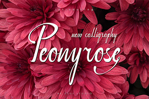Peonyrose