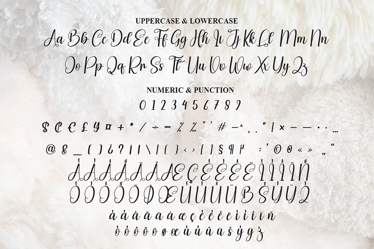 Bulky | Script Font, a Handwritten Font by Scratchones (Photo 7 of 9)