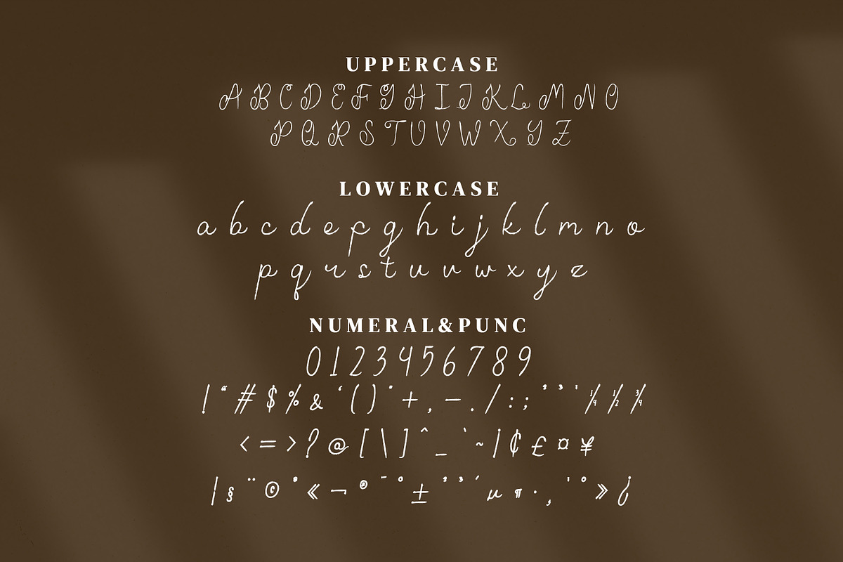 Emillam Script Fonts, a Script Font by mahstudios (Photo 12 of 15)