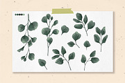 Protea flowers and eucalyptus sketch, an Illustration by irina.vaneeva (Thumbnail 3 of 12)