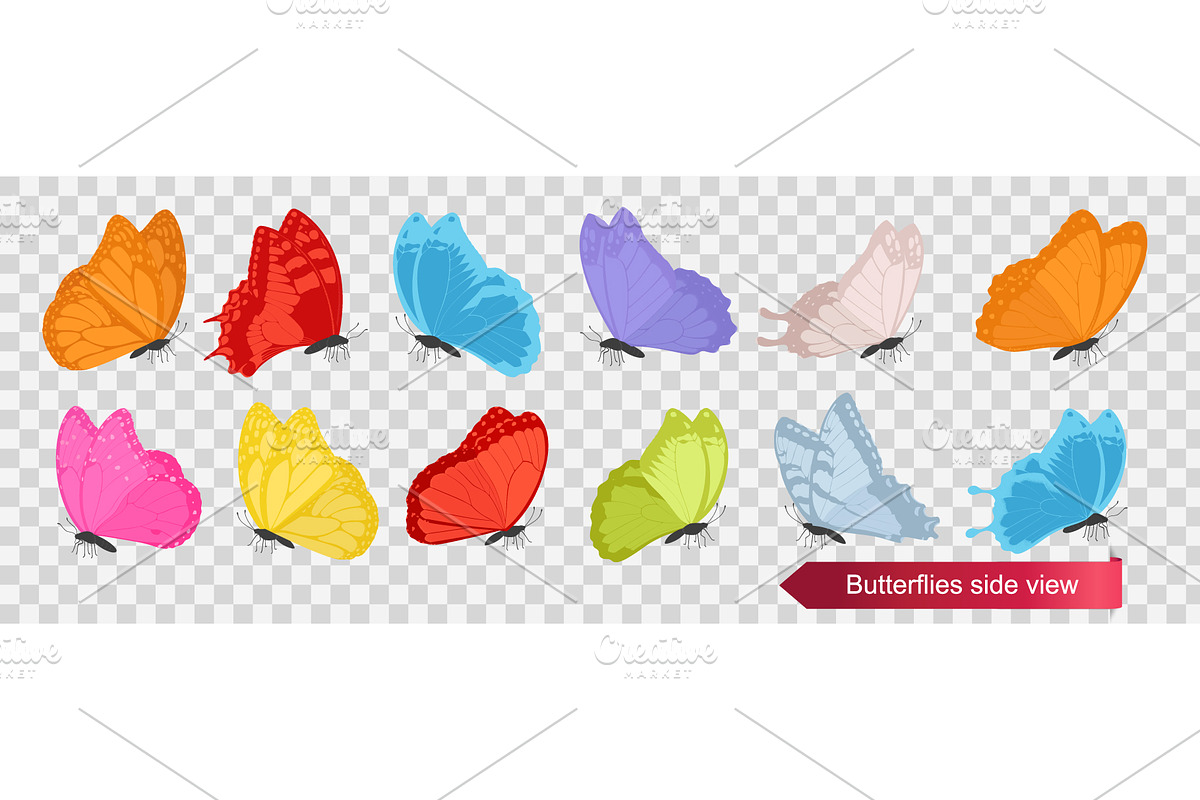 Colorful butterfly side view vector, an Animal Illustration by Yayasya