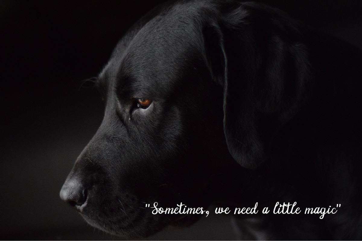 Manee Handwritten Typeface, a Script Font by PARAMAJAN (Photo 9 of 13)