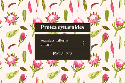 Protea patterns & cliparts