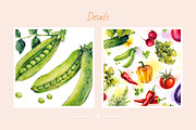 Vegetables. Watercolor, a Decorative Illustration by Ekaterina Mikheeva (Thumbnail 7 of 8)