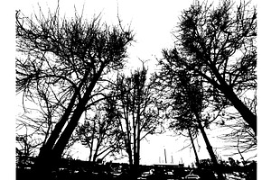 Monochrome silhouette of tree, a Texture Illustration by Nenahliadava Design