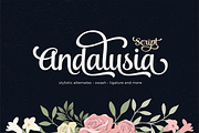 Andalusia Script, a Script Font by Seniors (Thumbnail 1 of 5)