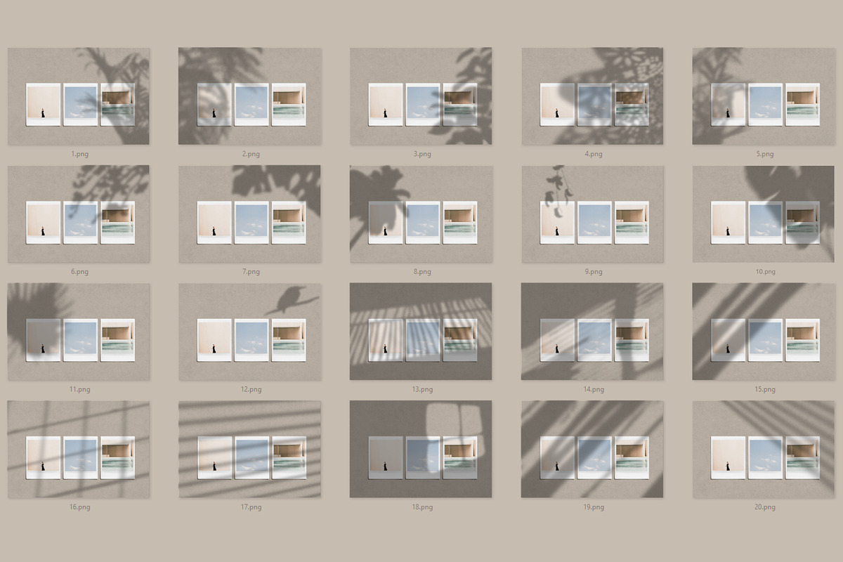 Natural Shadow Play Overlays, a Texture Graphic by Feather & Sage Design (Photo 14 of 17)