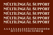 Dramish - Serif Retro Font, a Serif Font by Brainwaves.Studio (Thumbnail 5 of 8)