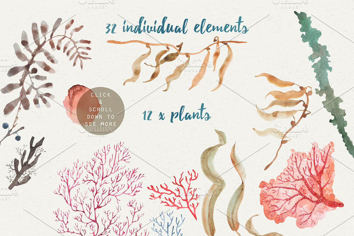 Watercolor Design Set | Muriel, an Illustration by Elisa Ursa (Photo 5 of 7)