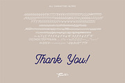 Bulgis - Variable Script Font, a Script Font by Panatype™ Studio (Thumbnail 7 of 7)