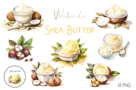 Watercolor Shea nuts plant, berry