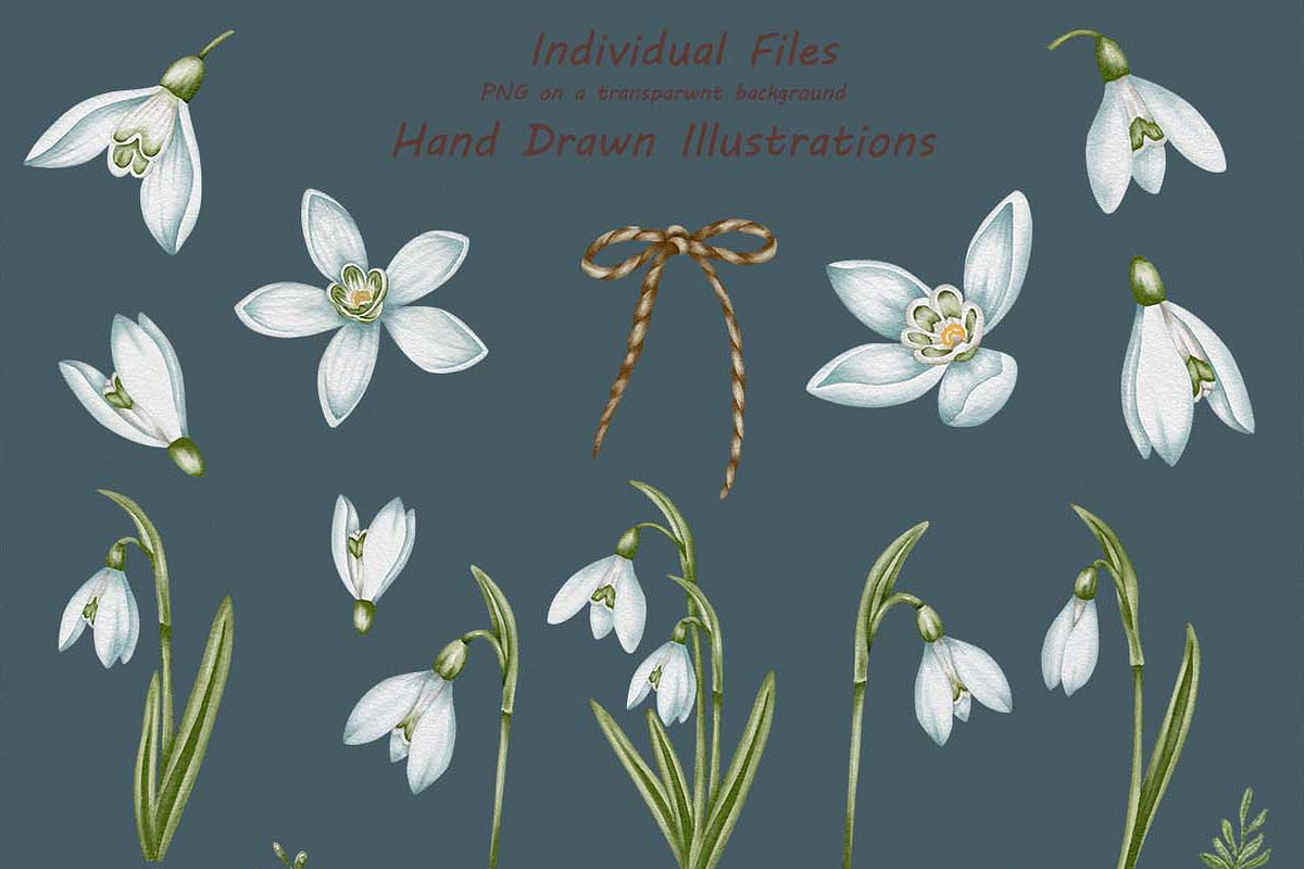 Snowdrops Hand Drawn Clipart, a Seasonal Illustration by BarvArt (Photo 3 of 5)