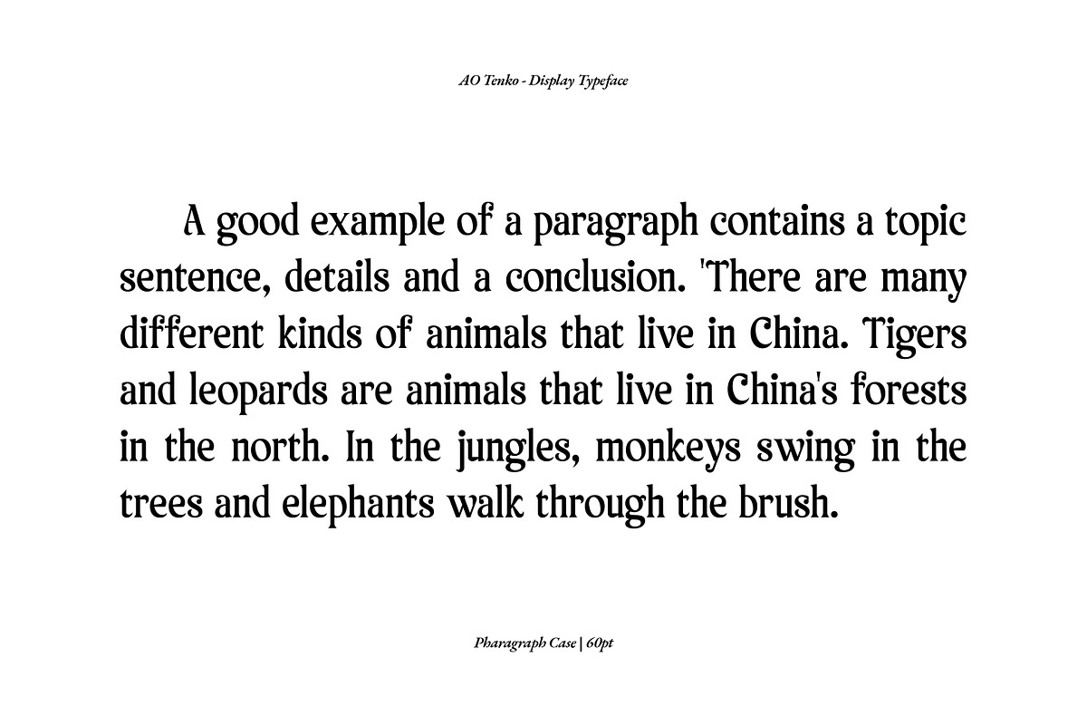 AO Tenko - Display Typeface, a Serif Font by OwunStudio (Photo 13 of 15)