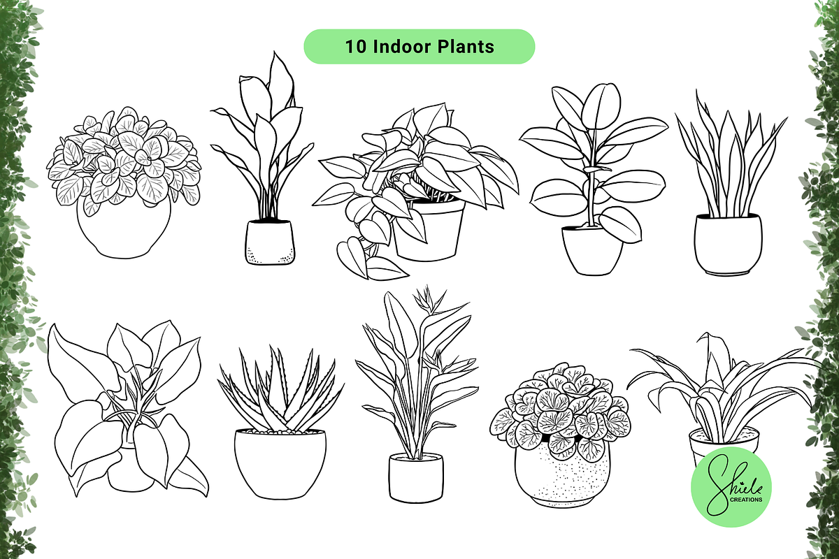 Indoor Plants Cliparts - Lineart Set, an Object Illustration by shielscreations (Photo 2 of 3)