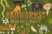 21 Rainforest Creatures & Plants, an Animal Illustration by Stephanie K. Birdsong (Thumbnail 1 of 4)