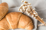 Neutral Stock Photo Bundle 1, a Photo by Savvy Stock Shop (Thumbnail 11 of 13)