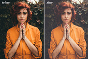Vintage Faded - Cinematic LUTs Pack, a Plug-in Add-On by Maple Visuals (Thumbnail 6 of 11)