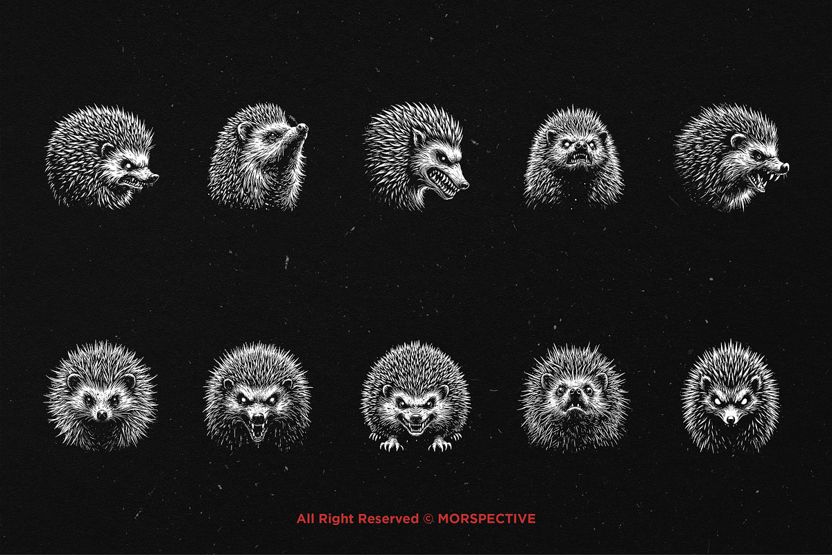 10 Bundle Dark Art Hedgehog thorns, an Illustration by Morspective (Photo 6 of 7)