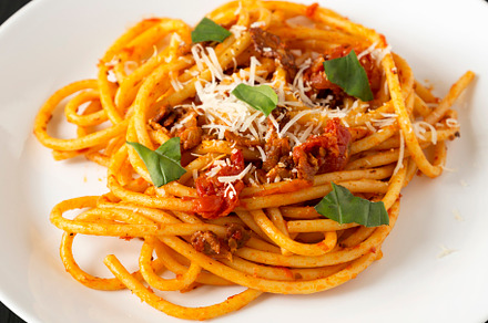 Homemade Bucatini all Amatriciana Pasta in a white plate on a bl, a Food & Drink Photo by LiudmylaChuhunova