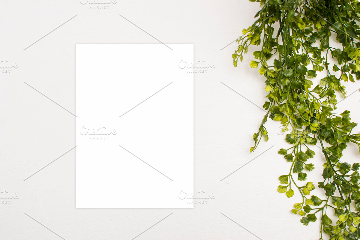 Mockup, Modern, Clean, Classy, a Photo by BlueBooks (Photo 2 of 2)