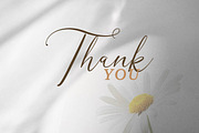 Galteniya | Beautiful Script, a Script Font by Denustudios (Thumbnail 15 of 15)