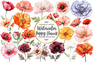 Watercolor Poppy Flower Clipart, an Illustration by OK Design
