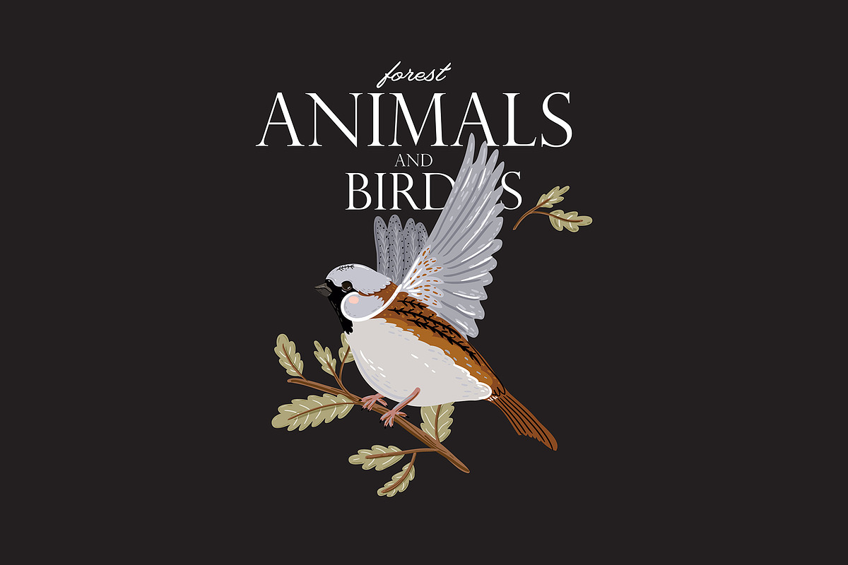 Forest Animals & Seasonal Botany, an Illustration by Ruslana Lubenets (Photo 3 of 21)