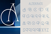 Fonca - Minimal Elegant Branding, a Serif Font by Qweera Studio (Thumbnail 12 of 12)