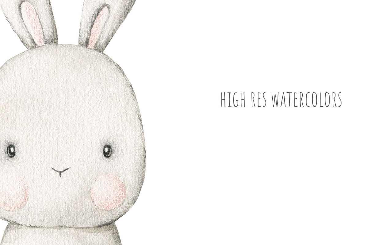 Name Creator - woodland animals, an Animal Illustration by Alesya Pytskaya (Photo 5 of 8)