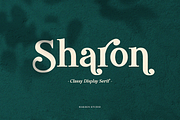 Sharon Modern/Vintage Font, a Serif Font by Haksen (Thumbnail 11 of 11)