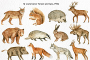 Watercolor Forest Animals Clipart, a Graphic by svetodesign (Thumbnail 2 of 12)