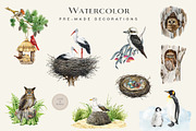 Birds Watercolor Painted Set, an Animal Illustration by AnitaPol (Thumbnail 11 of 18)