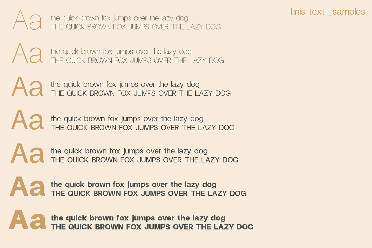 Finis Text [80% OFF], a Sans Serif Font by Alvotype (Photo 3 of 5)
