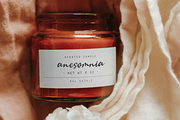 Camerelia Family | Signature Font, a Script Font by Denustudios (Thumbnail 7 of 12)