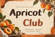 Apricot Club Bold Handwritten Brush, a Handwritten Font by Colorsfav (Thumbnail 1 of 11)