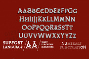 Chiquel - Serif Vintage Font, a Serif Font by Ridha-38.lineart (Thumbnail 7 of 10)