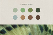 Sylva Textured Botanical Backgrounds, a Background Graphic by alonahaidash (Thumbnail 7 of 15)