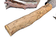 13 Tree Logs, an Environmental 3D Model by Beatheart Creative Studio (Thumbnail 27 of 37)