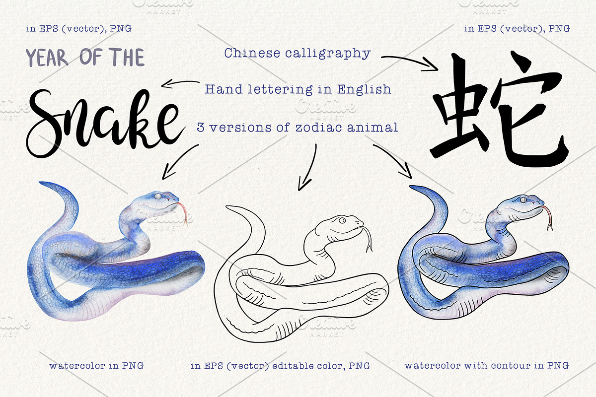 12 Chinese Zodiac Animals set, an Animal Illustration by Alena Solonshchikova (Photo 12 of 13)