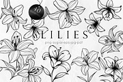 Lily Flowers Line Art SVG, an Object Graphic by Dervik Art Store (Thumbnail 1 of 8)