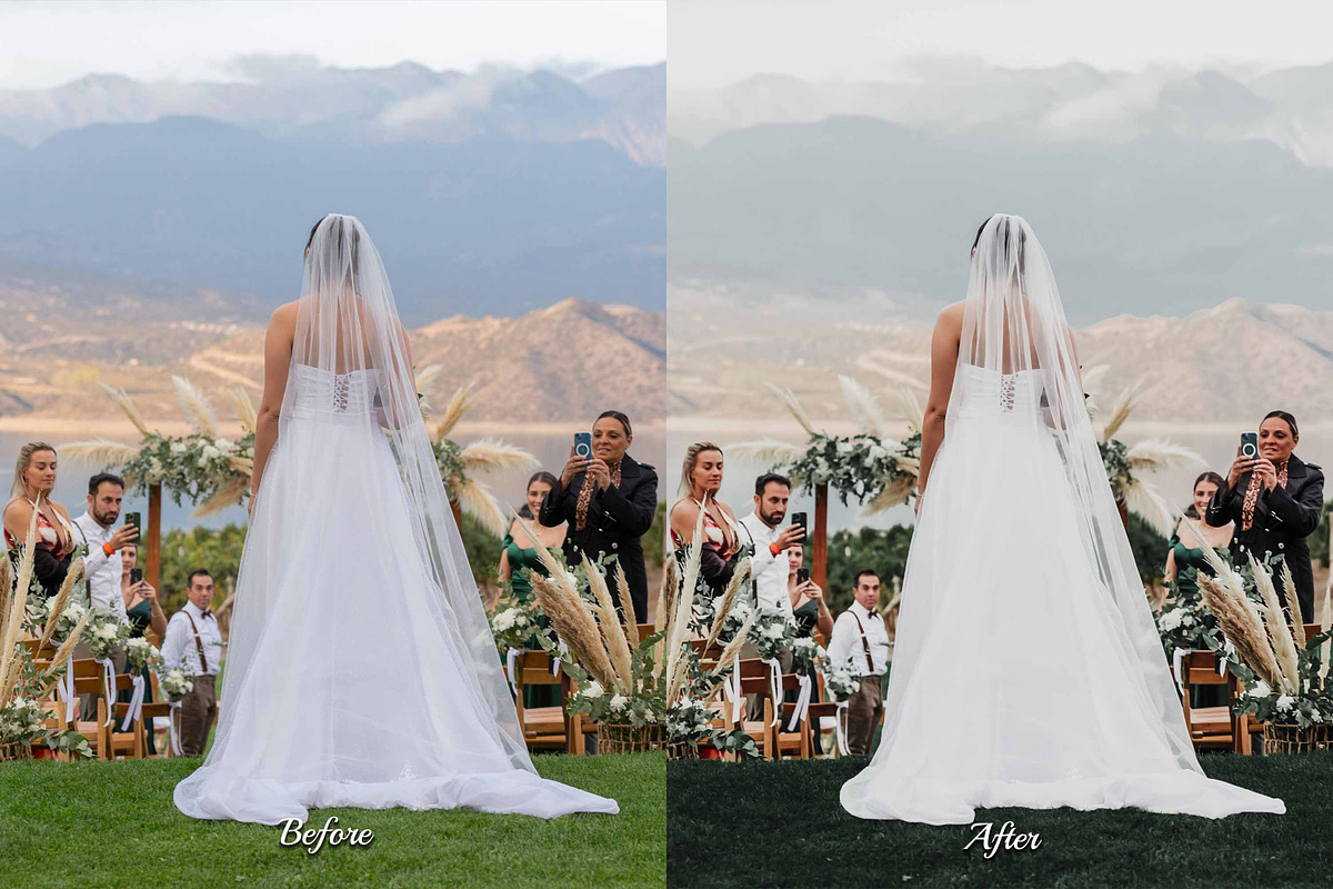 30 Bridal LUT Collection