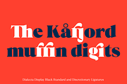 Dialecta Display, a Serif Font by Craceltype (Thumbnail 8 of 9)